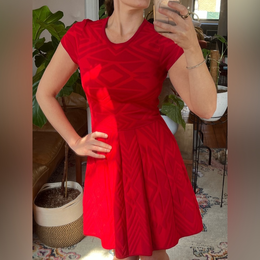 Parker bodycon red dress (XS)